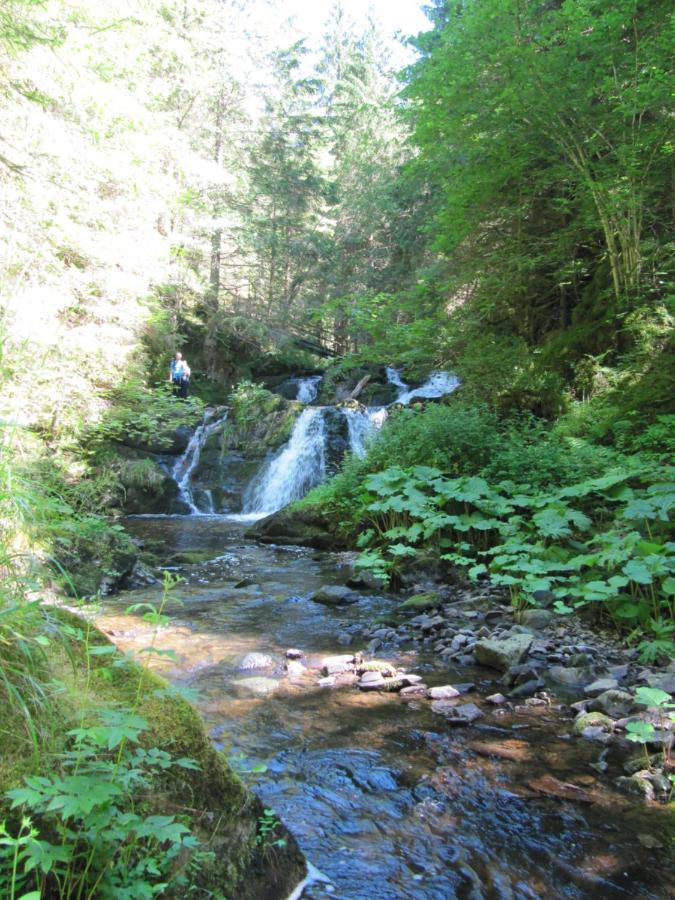 Rötenbacher Wiesen Friedenweiler Eksteriør billede